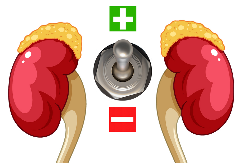 Hypercortilosémie