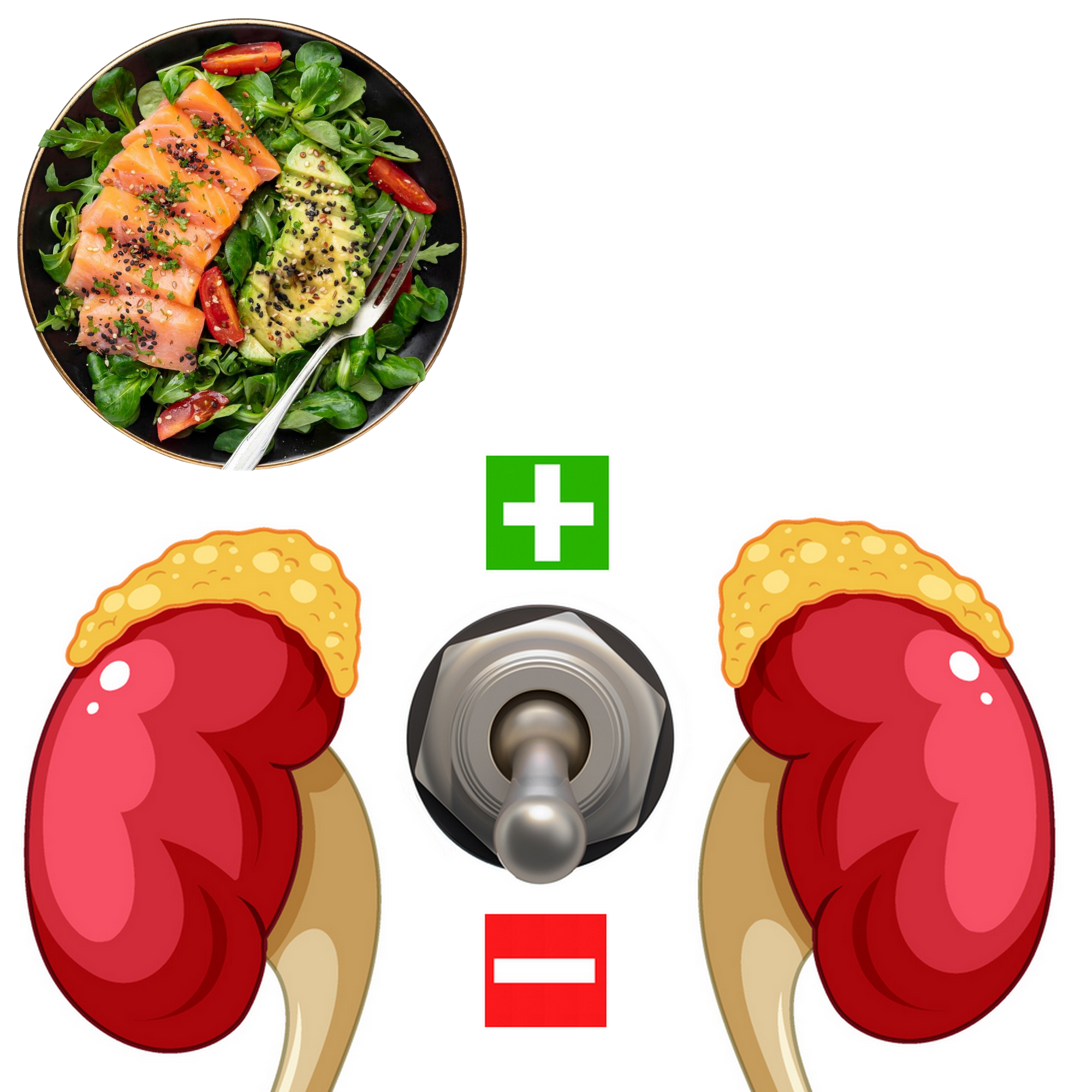 Consultation hypocortilosémie - Fatigue surrénales - Prise en charge nutritionnelle